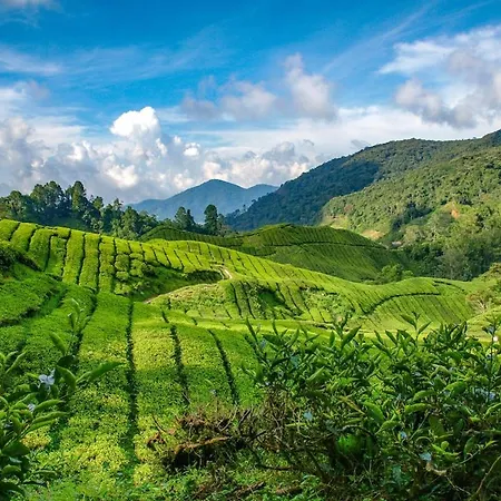 Estrella24 Living Singapur Herne