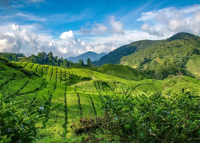 Estrella24 Living Singapur Herne