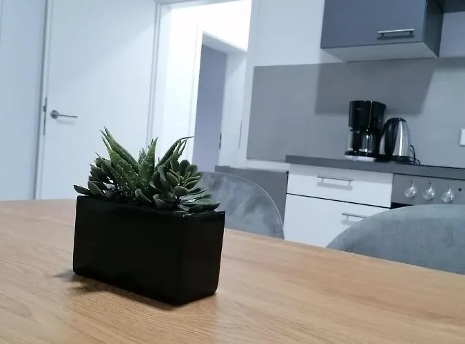 Estrella24 Living Singapur * הרנה